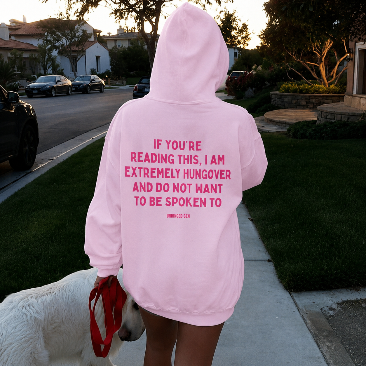 Hangover Hoodie